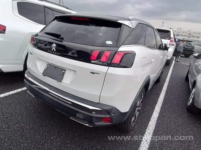 Peugeot 3008 2019 photo 4