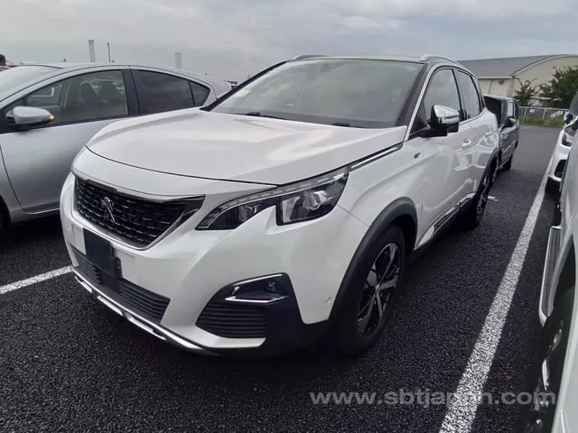 Peugeot 3008 2019 photo 2