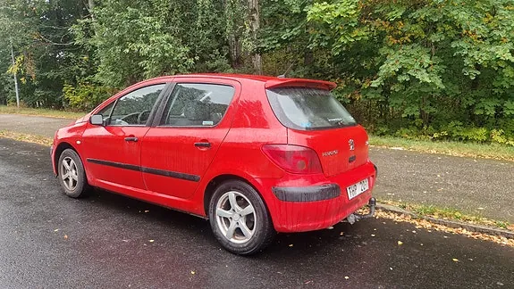Peugeot 307 2002 photo 3