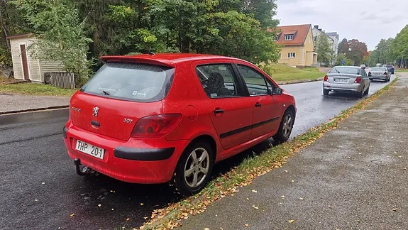 Peugeot 307 2002 photo 2