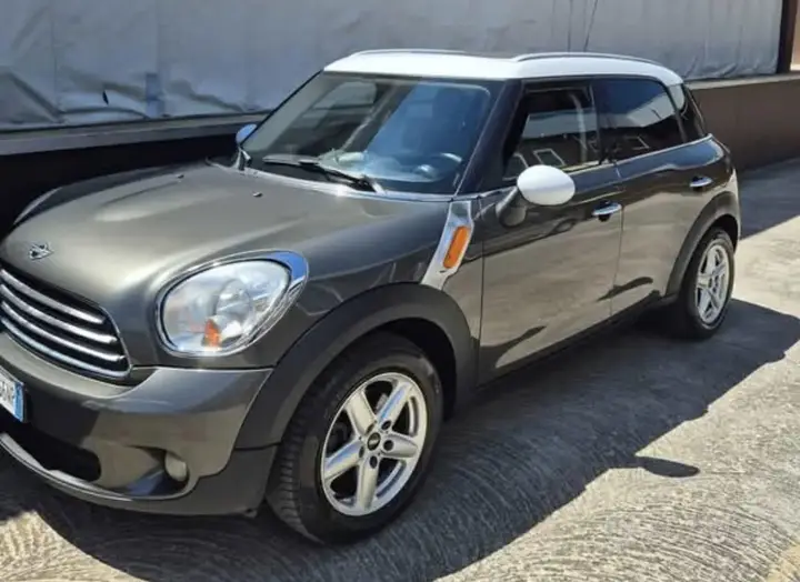 Mini Mini Countryman