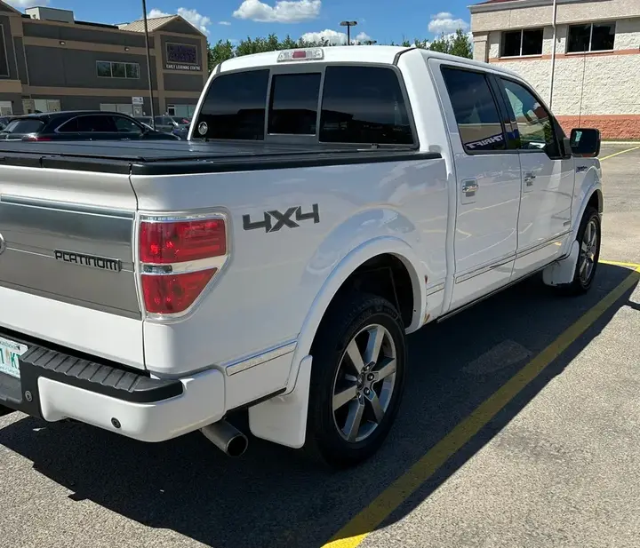 Ford F-150 2011 photo 3
