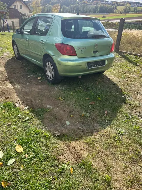 Peugeot 307 2003 photo 3