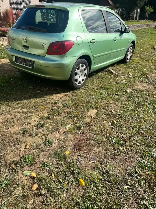 Peugeot 307 2003 photo 2