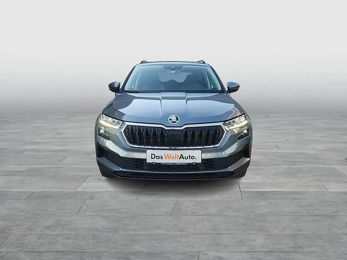 Skoda Karoq 2022 photo 2