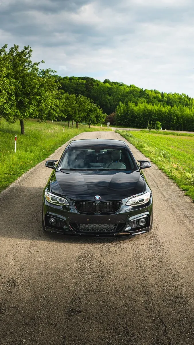BMW 2 Series 2014 photo 3