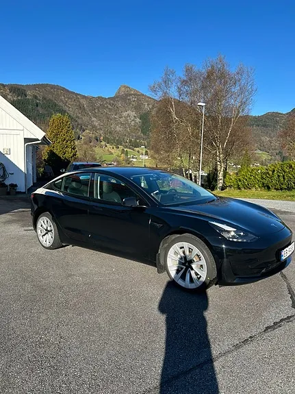 Tesla Model 3 2021 photo 2