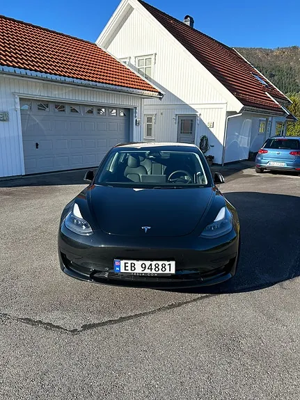 Tesla Model 3 2021 photo 3