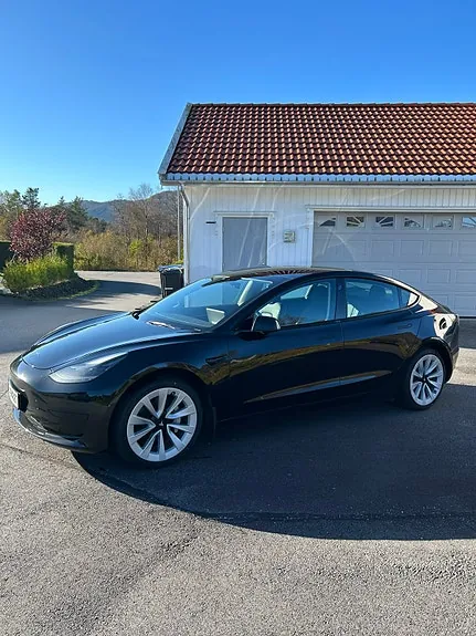 Tesla Model 3 2021 photo 4