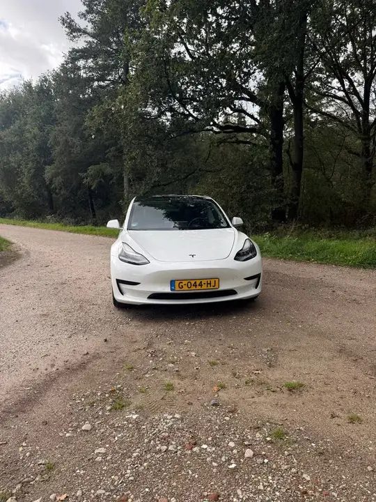 Tesla Model 3 2019 photo 3