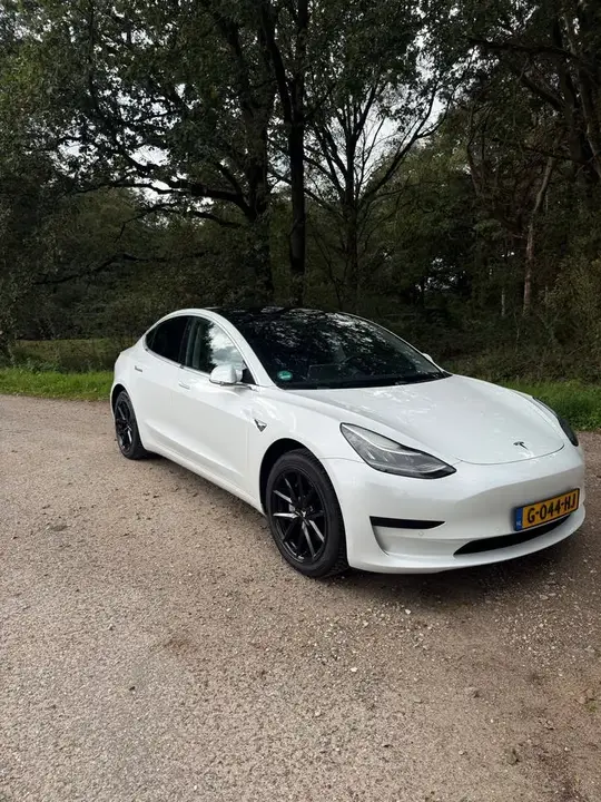 Tesla Model 3 2019 photo 2