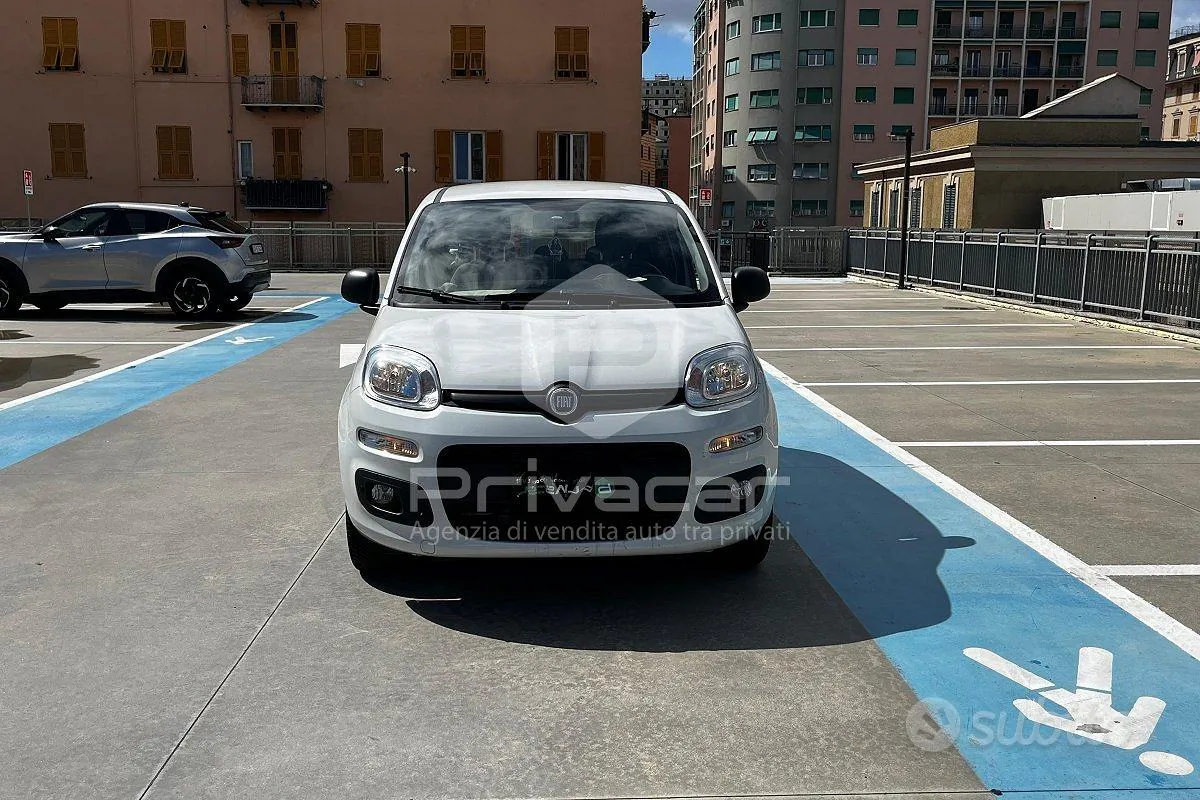 Fiat Panda 2017 photo 2