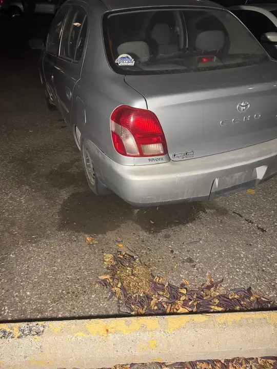 Toyota Echo 2003 photo 4