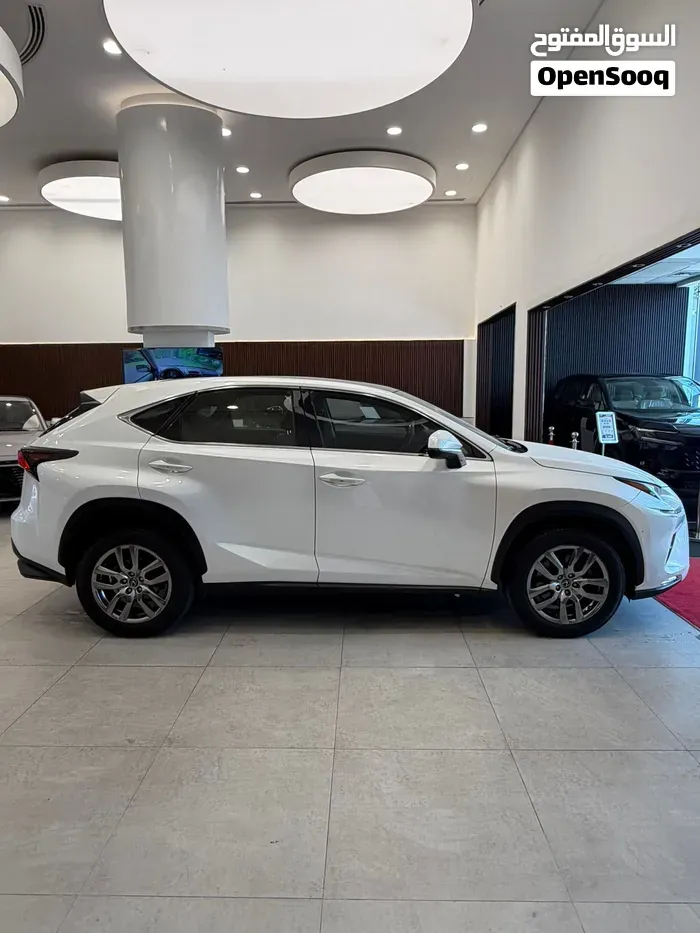 Lexus Nx 300 2020 photo 2