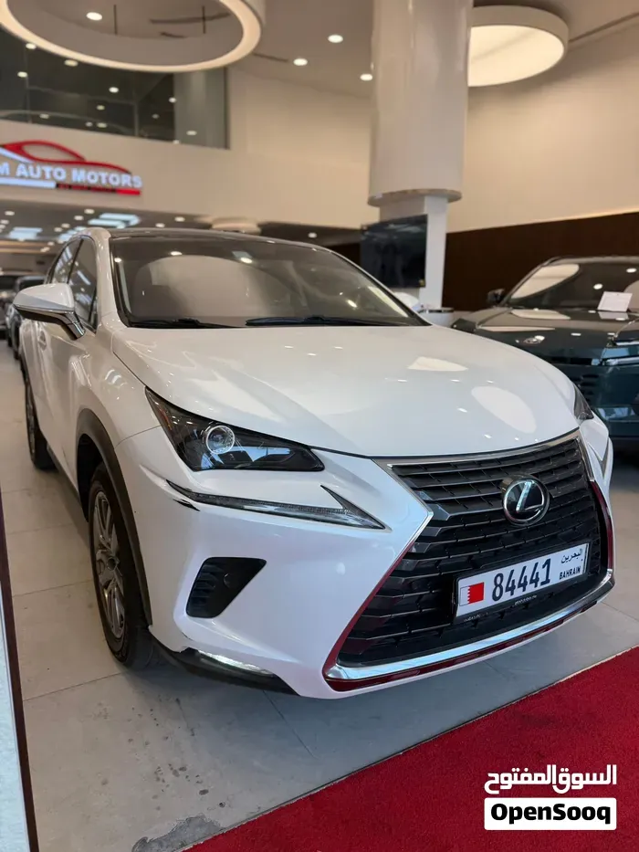 Lexus Nx 300 2020 photo 3
