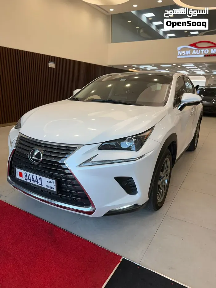 Lexus Nx 300 2020 photo 4