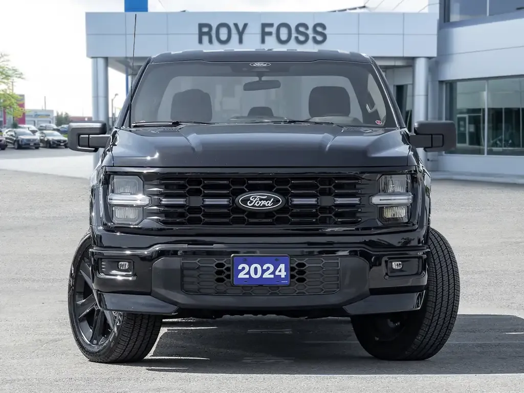 Ford F-150 2025 photo 2