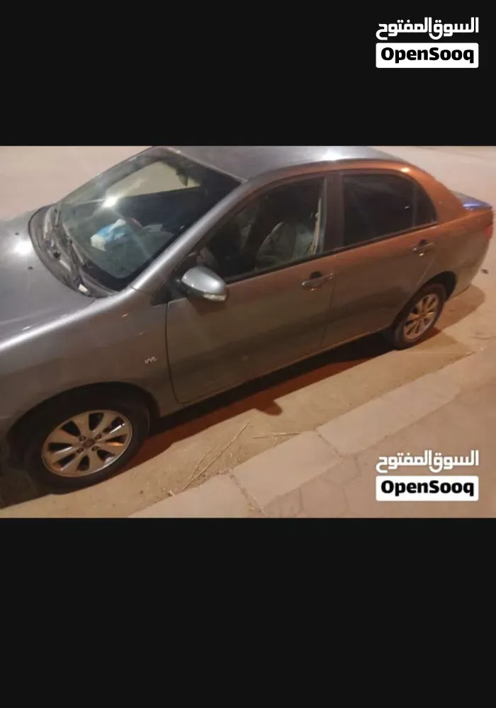 BYD Other