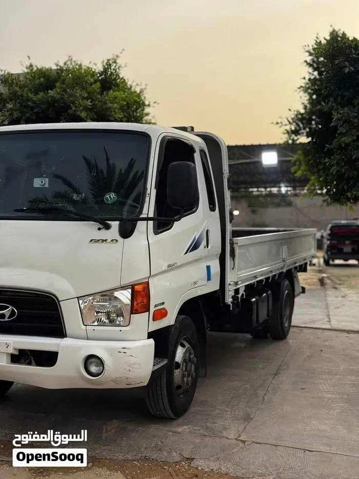 Hyundai Mighty 2008 photo 3