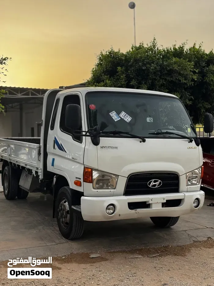 Hyundai Mighty 2008 photo 2