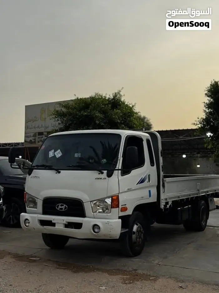 Hyundai Mighty 2008 photo 4