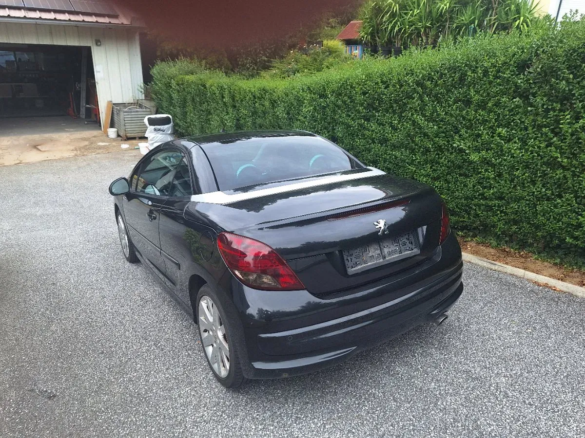 Peugeot 207 2009 photo 3
