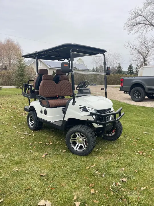 Other Golf Cart 2026 photo 2