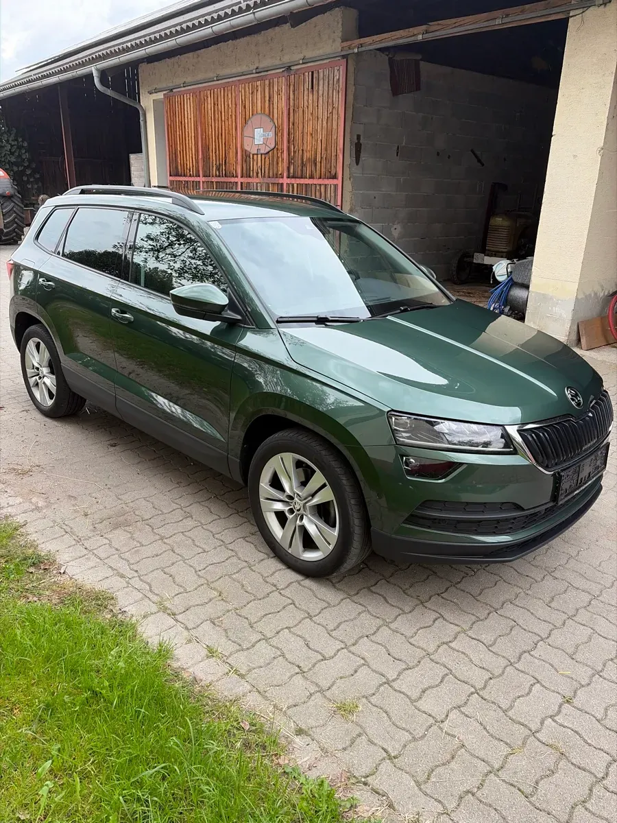 Skoda Karoq 2021 photo 2