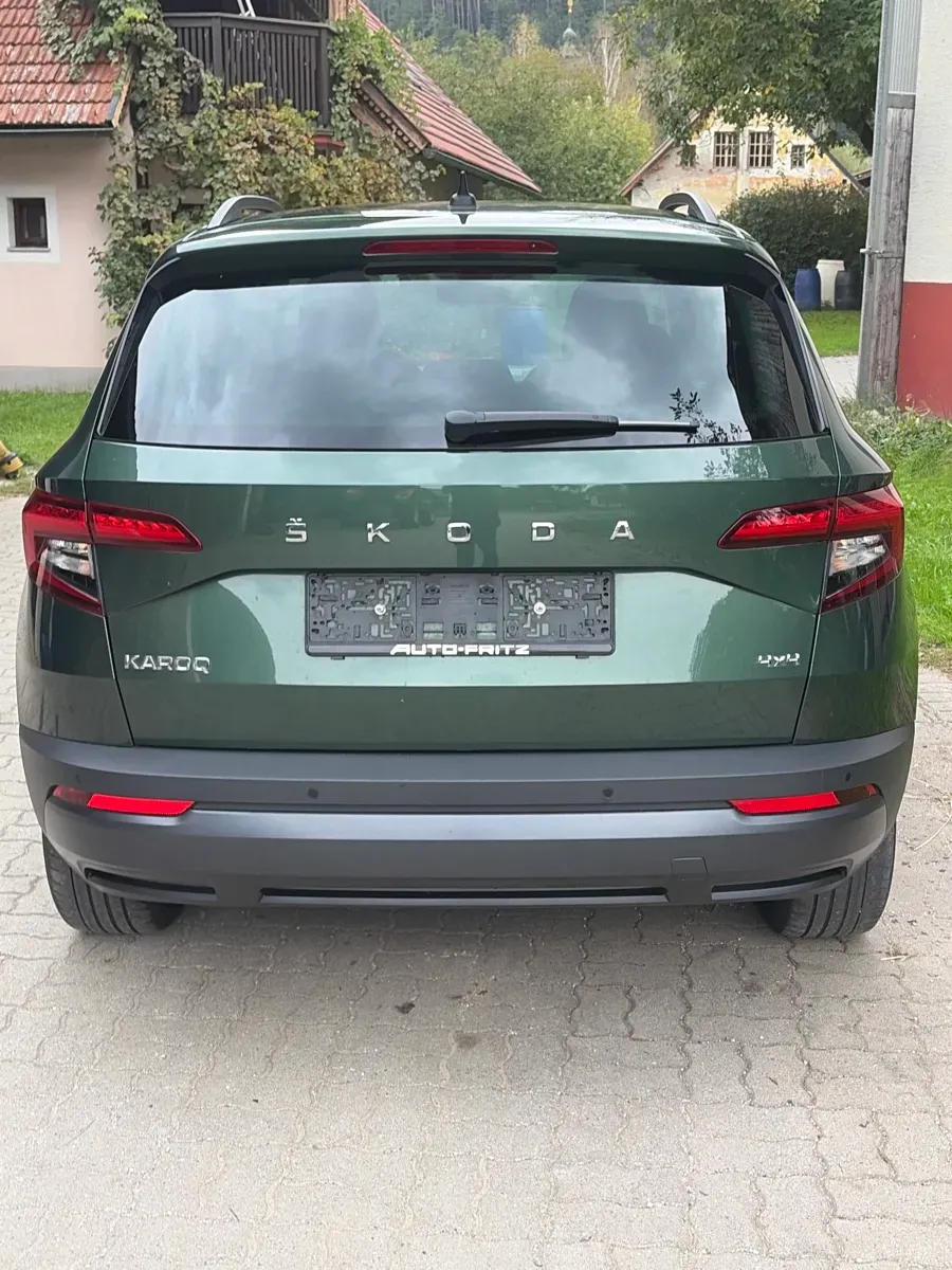 Skoda Karoq 2021 photo 3