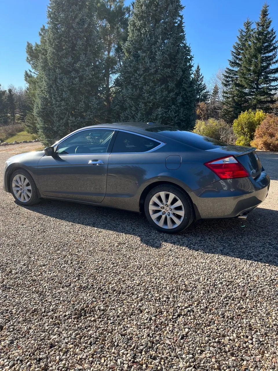Honda Accord 2010 photo 5