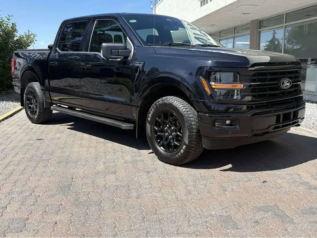 Ford F-150 2025 photo 2
