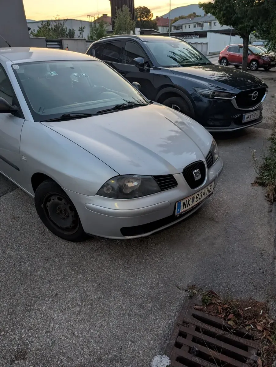 Seat Ibiza 2003 photo 2