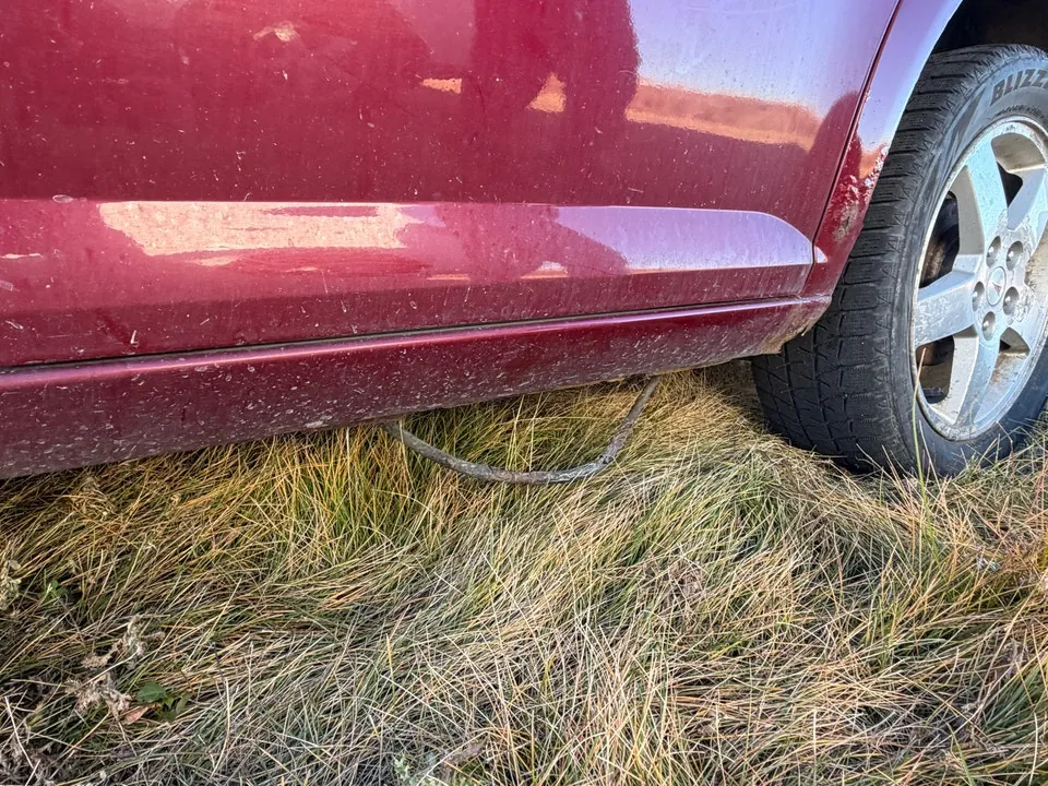 Pontiac G5 2005 photo 5