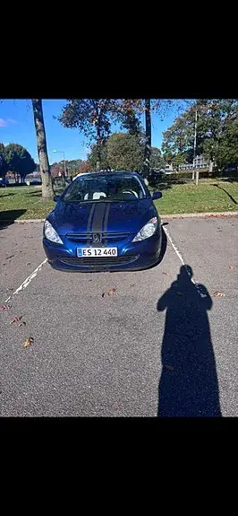 Peugeot 307 2004 photo 2