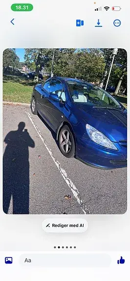 Peugeot 307 2004 photo 3