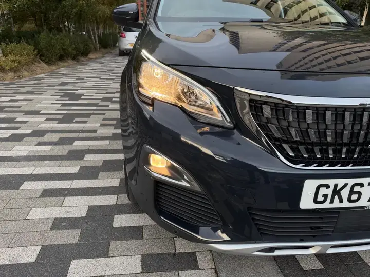 Peugeot 3008 2017 photo 4