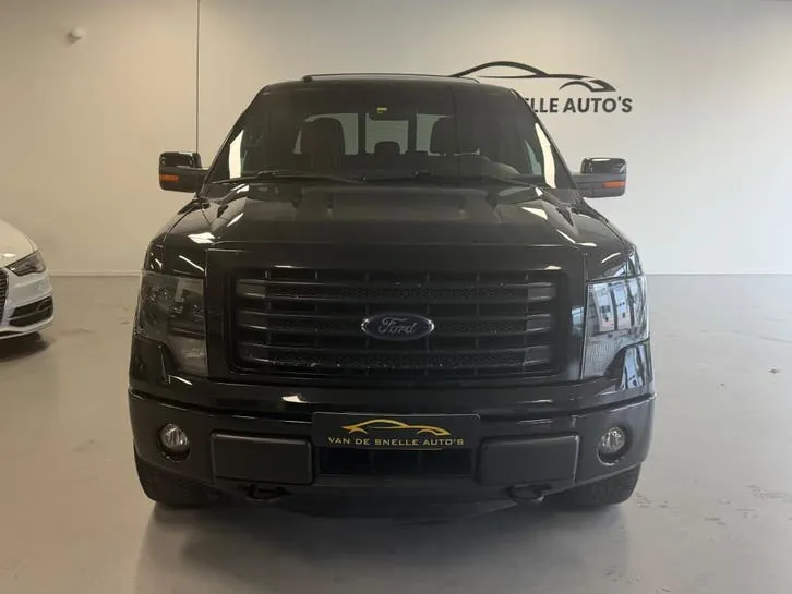 Ford F-150 2015 photo 2
