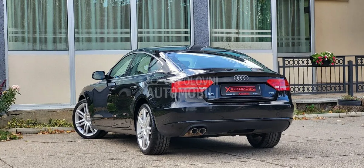 Audi A5 2010 photo 4