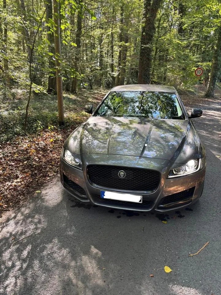 Jaguar Xf
