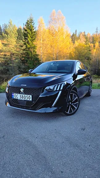 Peugeot E-208