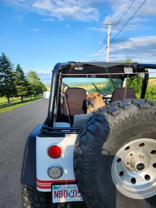 Jeep Wrangler 1993 photo 5