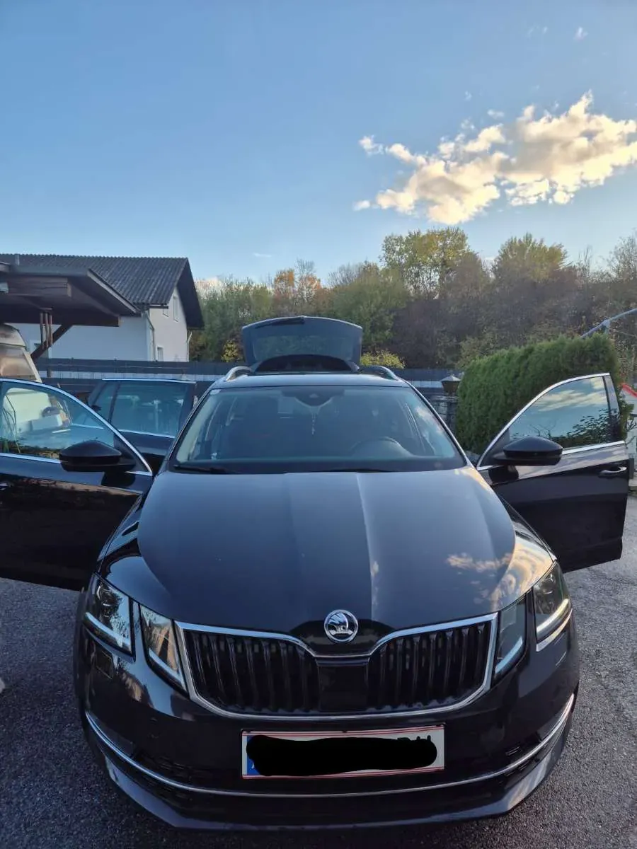 Skoda Octavia 2019 photo 2