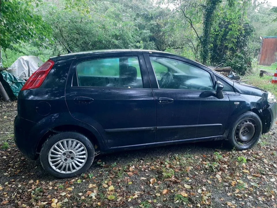Fiat Punto