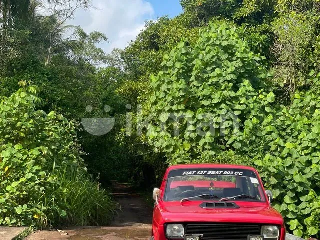 Fiat 1100 1980 photo 2