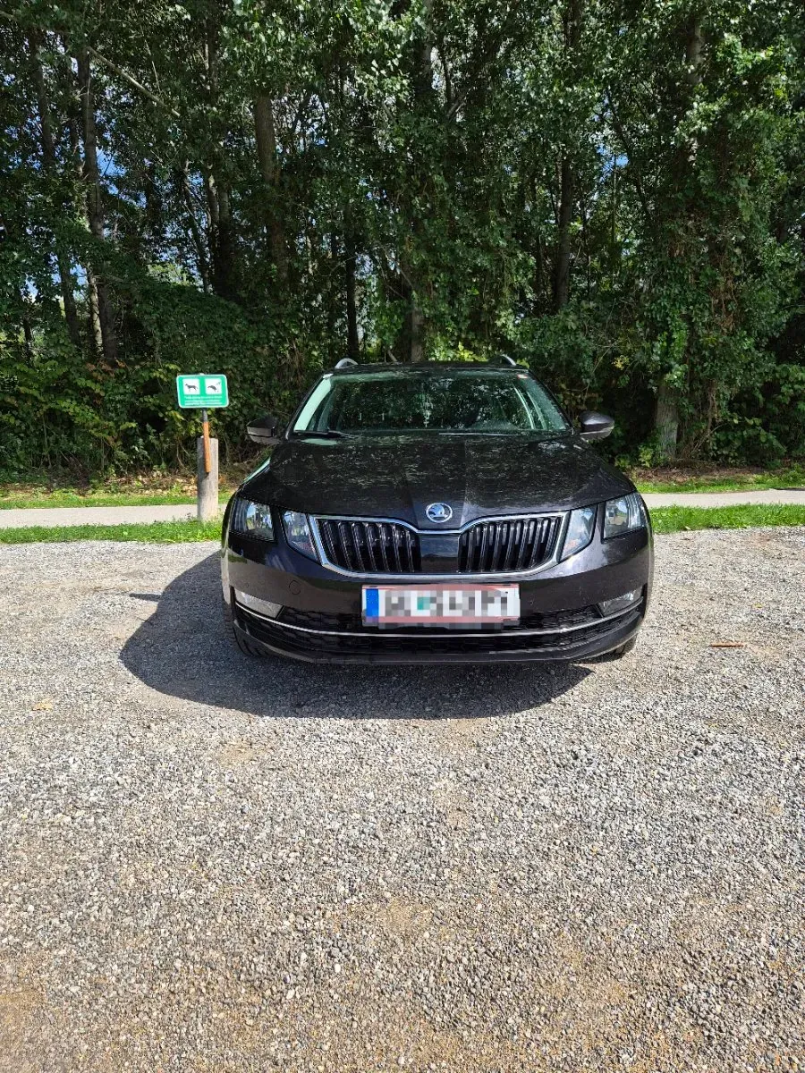 Skoda Octavia 2017 photo 3