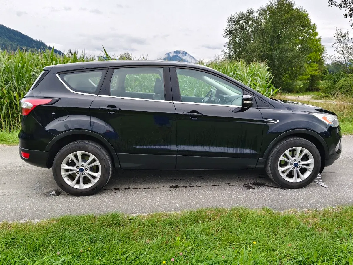 Ford Kuga 2017 photo 3