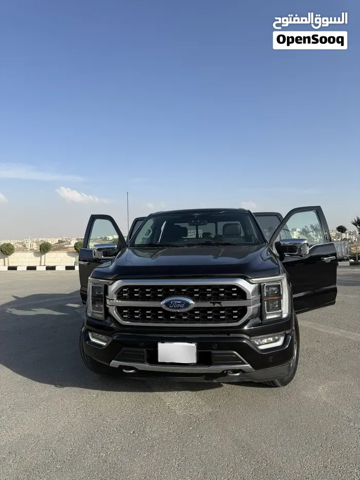 Ford F-150 2021 photo 3