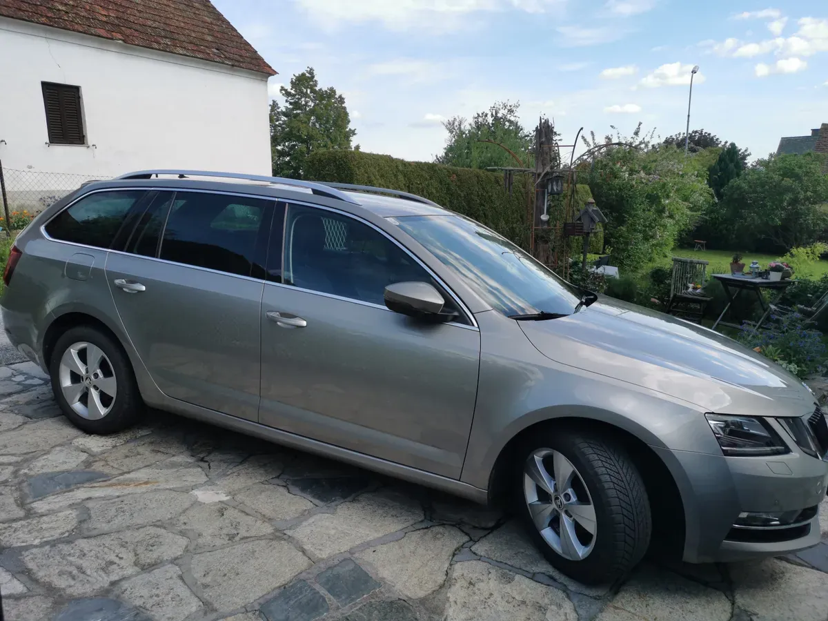 Skoda Octavia 2019 photo 2