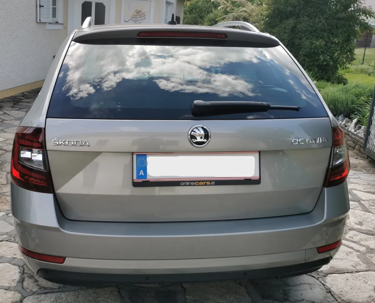 Skoda Octavia 2019 photo 3
