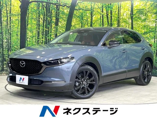 Mitsubishi Cx-30